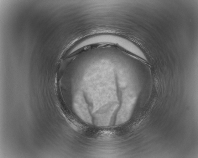 X0000054380352200508191918