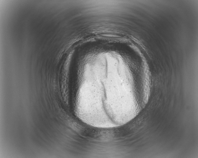 X0000054380353200508191918