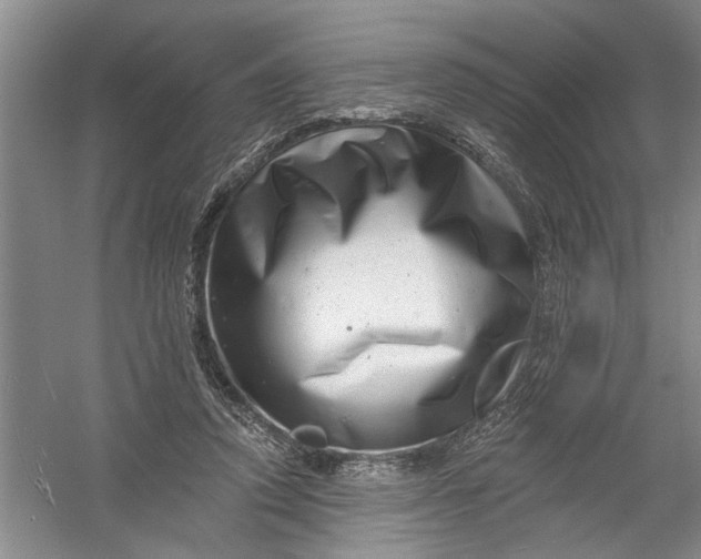 X0000054380354200508191918