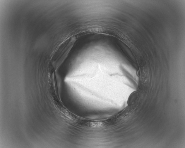 X0000054380355200508191918