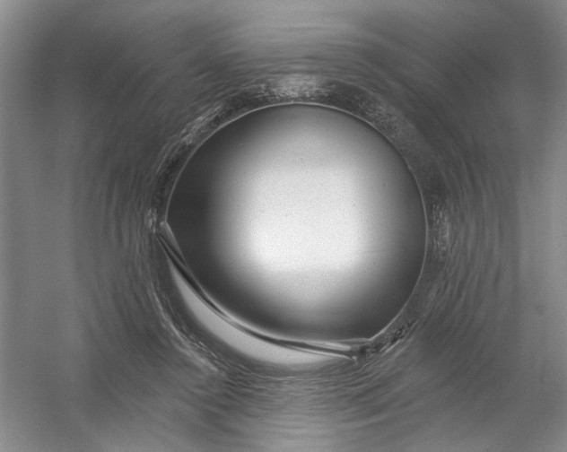 X0000054380356200508191918