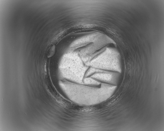 X0000054380358200508191919