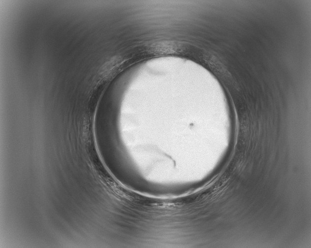 X0000054380359200508191919