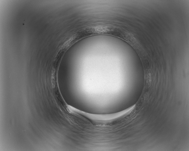 X0000054380360200508191919