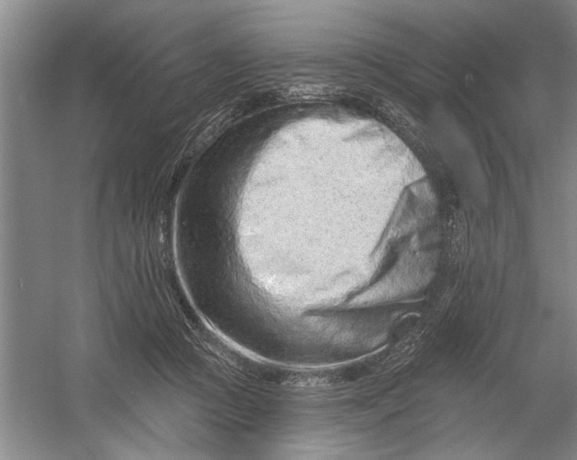 X0000054380361200508191919