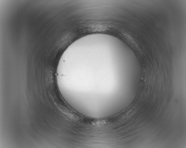 X0000054380362200508191919