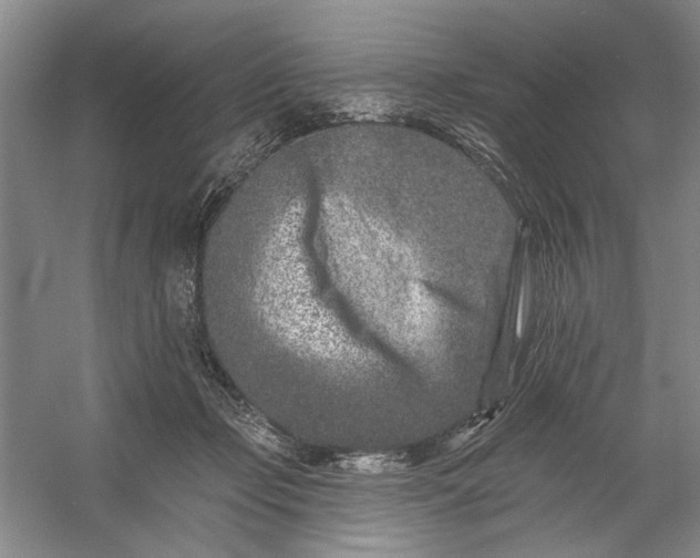 X0000054380365200508191919