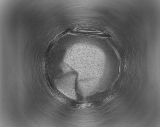 X0000054380366200508191919