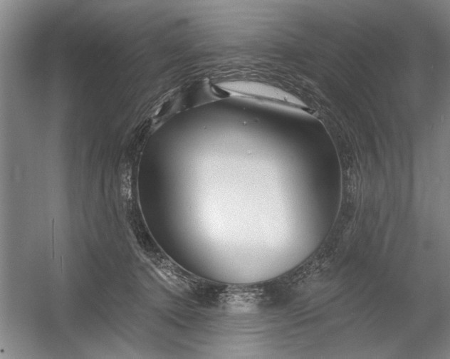 X0000054380368200508191919