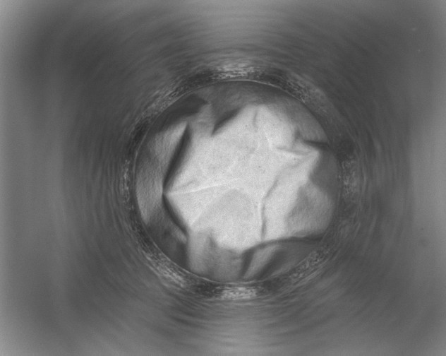 X0000054380369200508191919