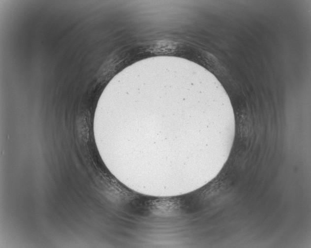 X0000054380370200508191919