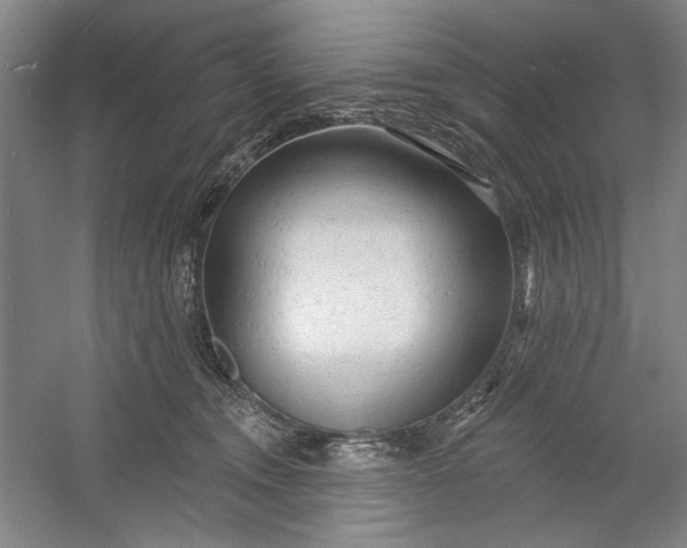 X0000054380372200508191919