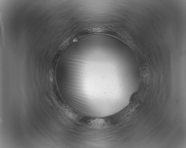 X0000054380374200508191919