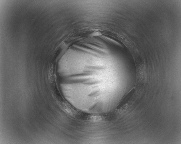 X0000054380376200508191919