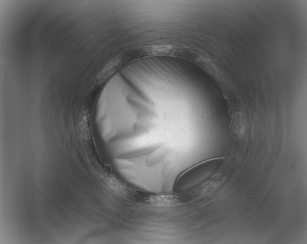 X0000054380378200508191919