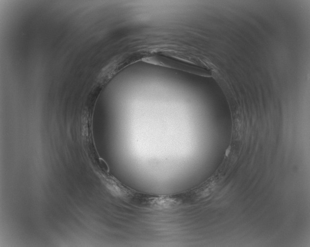 X0000054380379200508191919