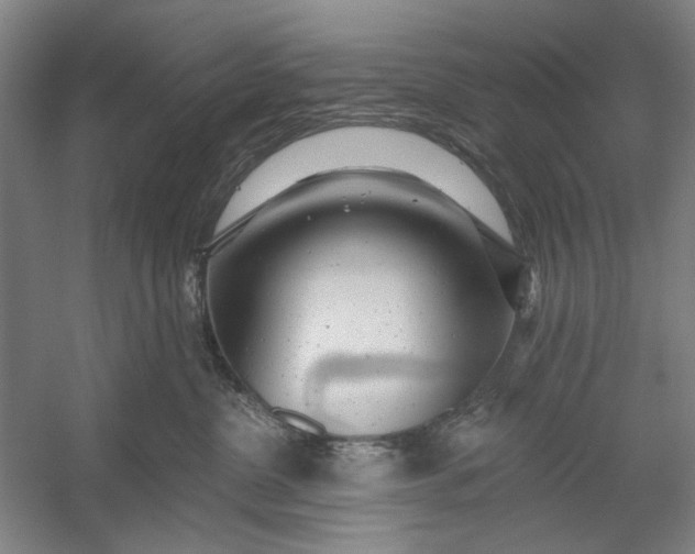 X0000054380380200508191919