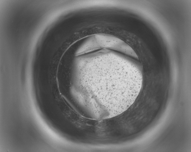 X0000054380382200508191919