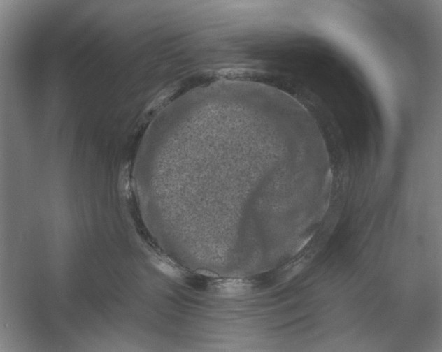 X0000054380383200508191919