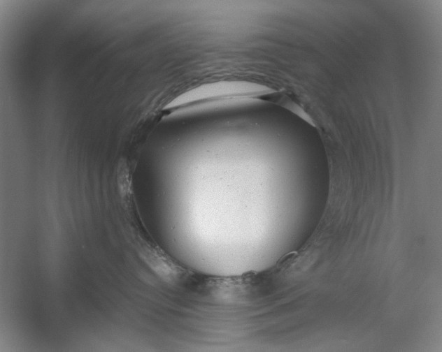 X0000054380384200508191919