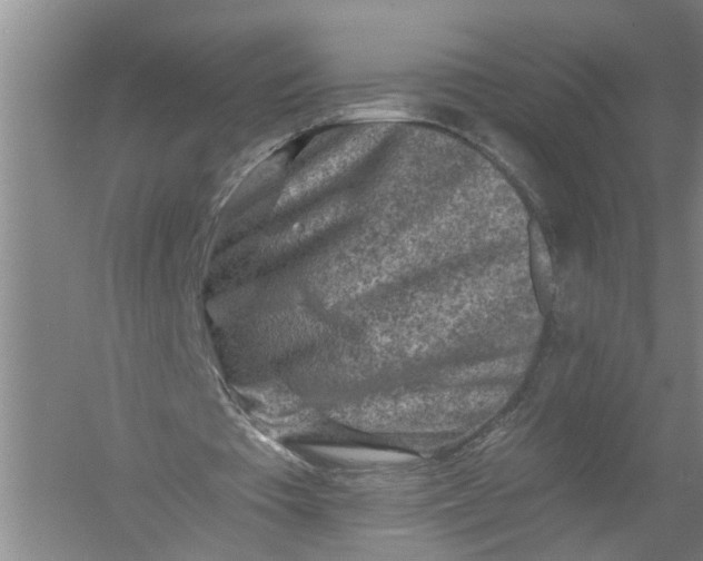 X0000054380385200508191918