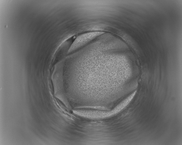 X0000054380386200508191918