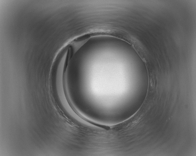 X0000054380388200508191918