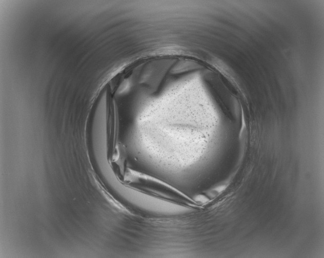 X0000054380389200508191918