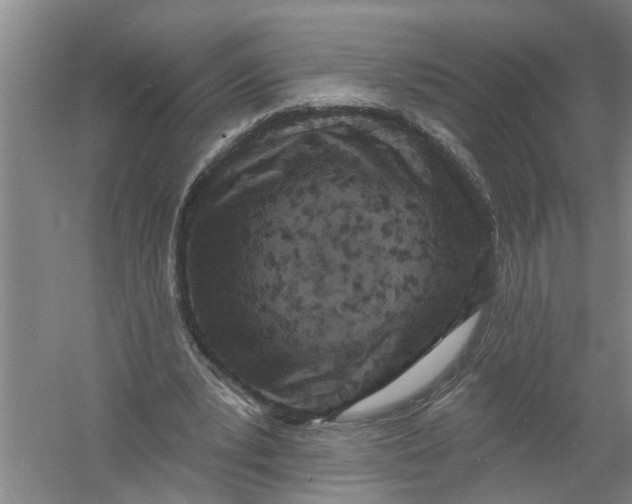 X0000054380391200508191918