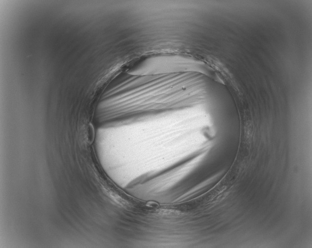 X0000054380393200508191918