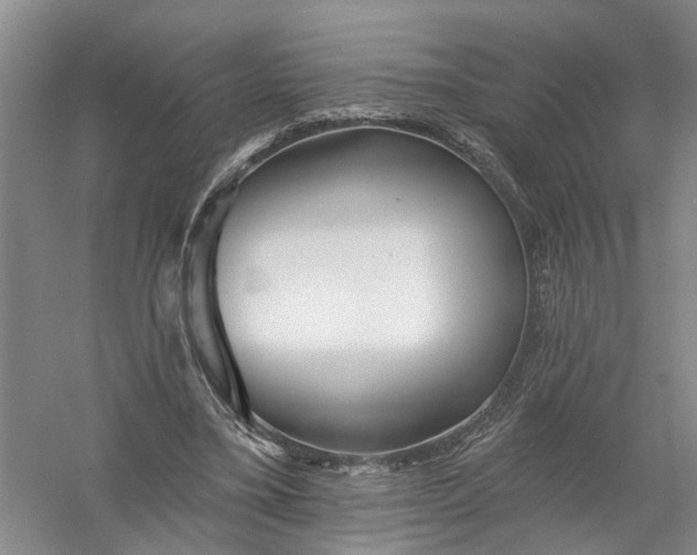 X0000054380395200508191918