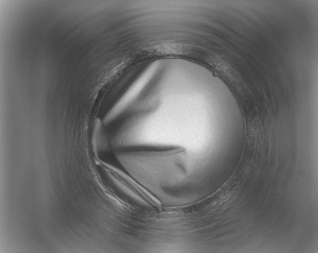 X0000054380398200508191918