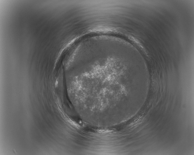 X0000054380399200508191918