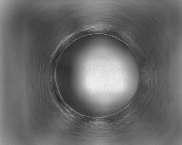 X0000054380400200508191918