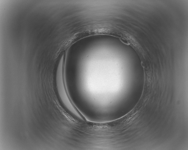 X0000054380401200508191918