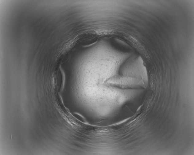 X0000054380405200508191918