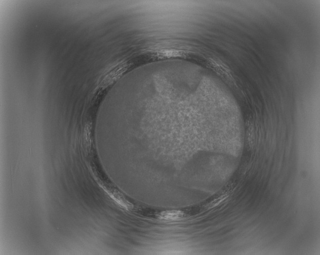 X0000054380410200508191918