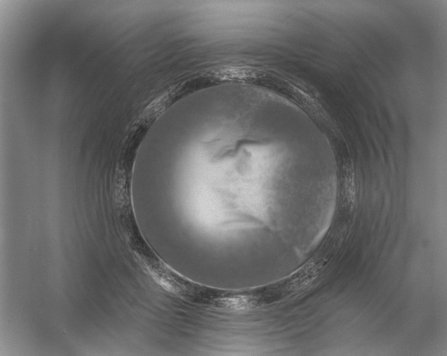 X0000054380411200508191918