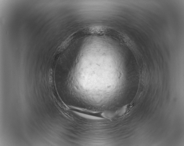 X0000054380413200508191918