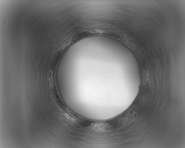 X0000054380414200508191918