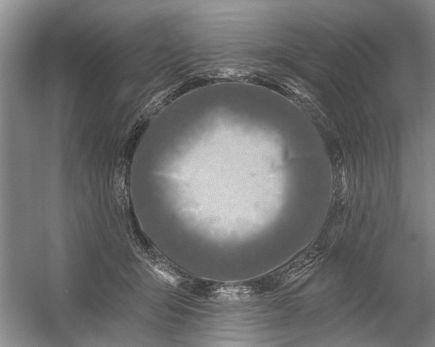 X0000054380415200508191918