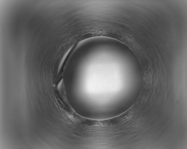 X0000054380416200508191918