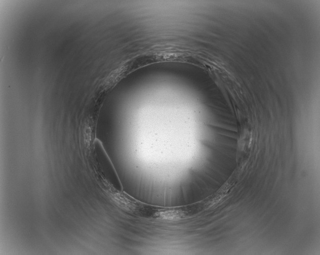 X0000054380417200508191918