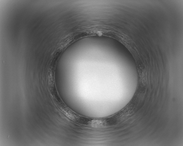 X0000054380418200508191918