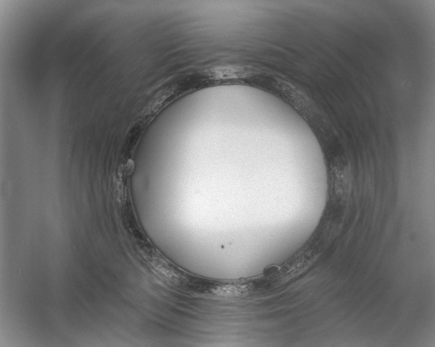 X0000054380422200508191917