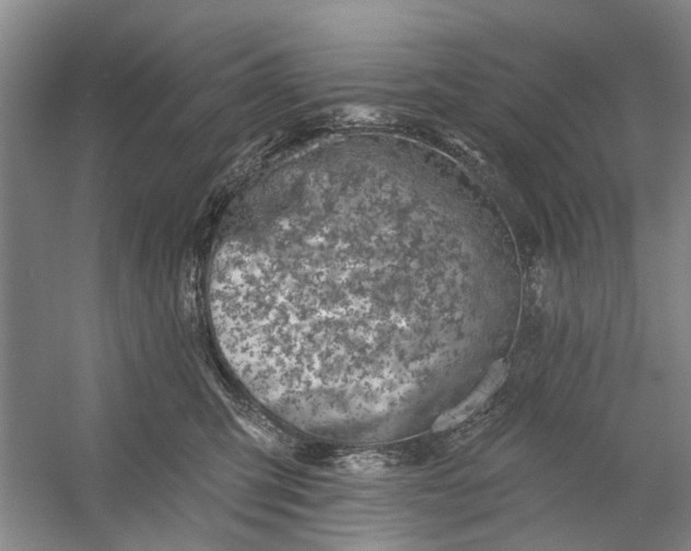 X0000054380423200508191917