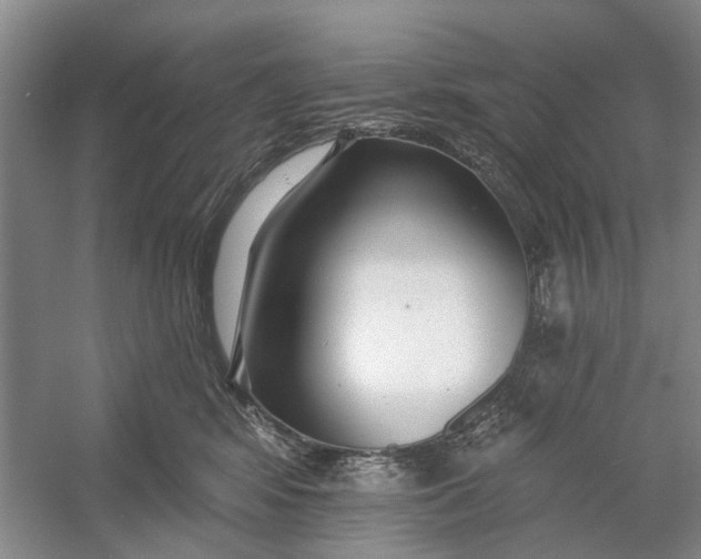 X0000054380424200508191917