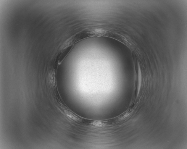 X0000054380425200508191917