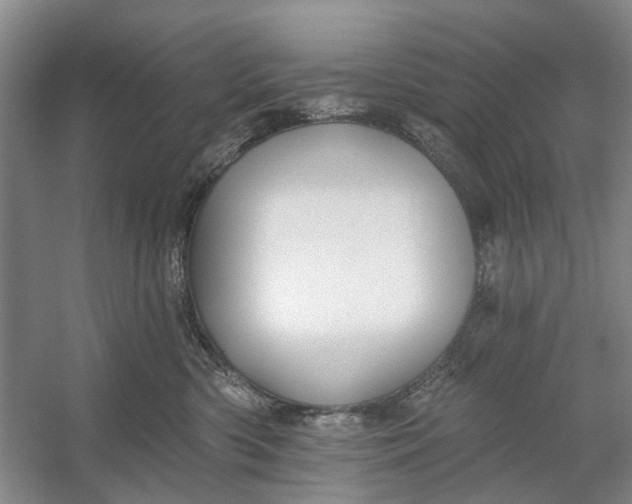 X0000054380426200508191917