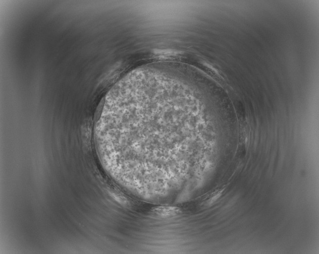 X0000054380427200508191917